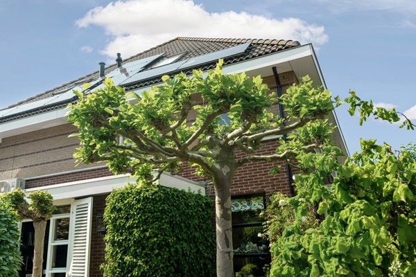 Medium property photo - Alexine Tinnepad 19, 2553 TR Den Haag